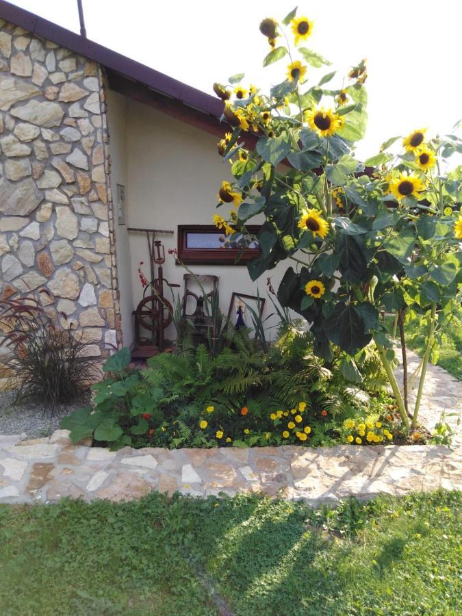 Czytelnia W Sadzie Vila Krzykawka Exterior foto