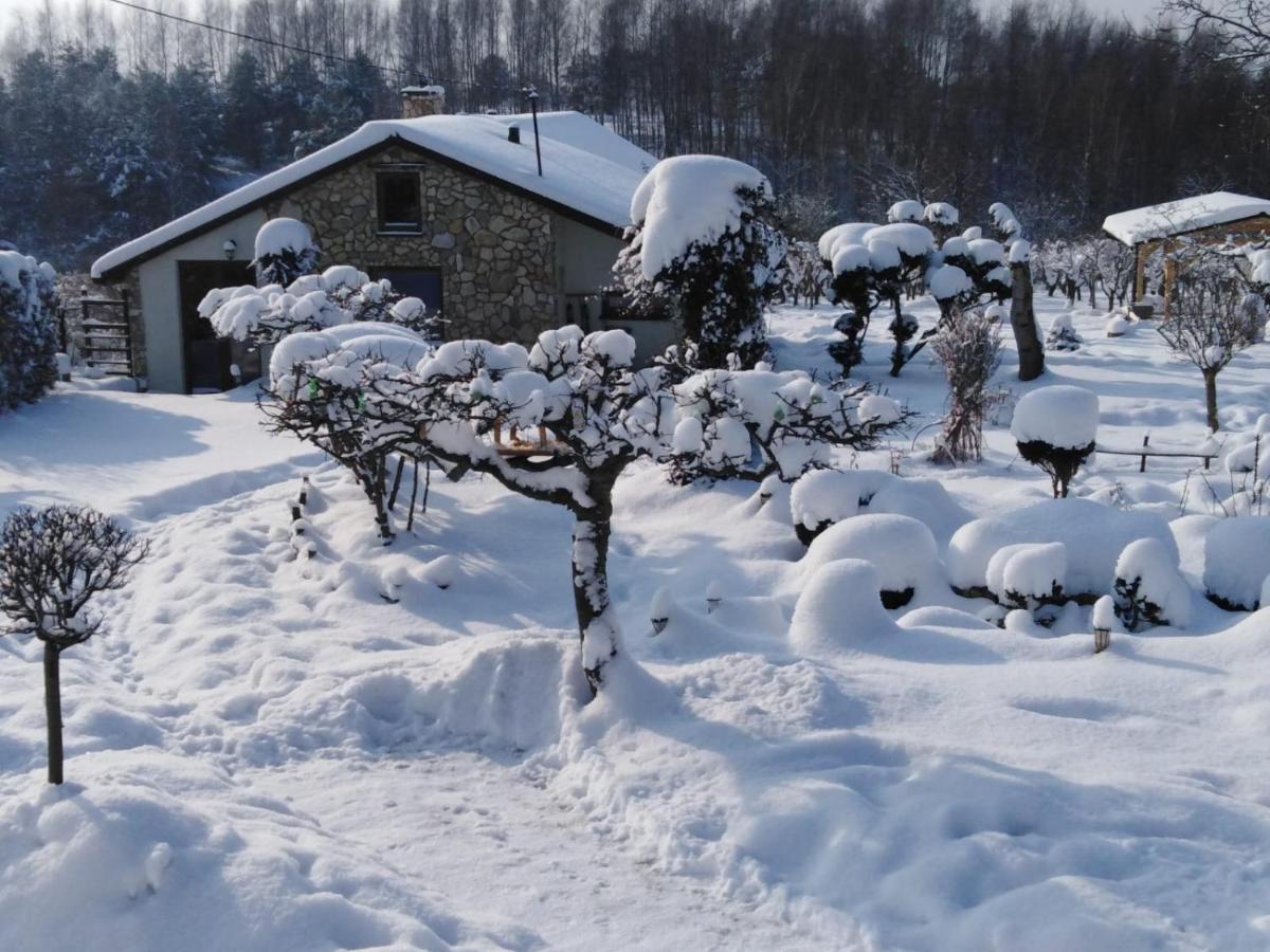 Czytelnia W Sadzie Vila Krzykawka Exterior foto